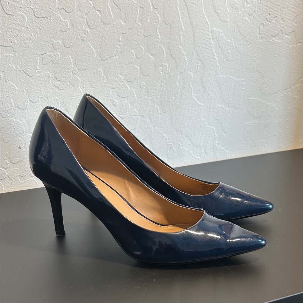 Calvin Klein Navy Gayle Stilleto Pointed-Toe Heels - Women